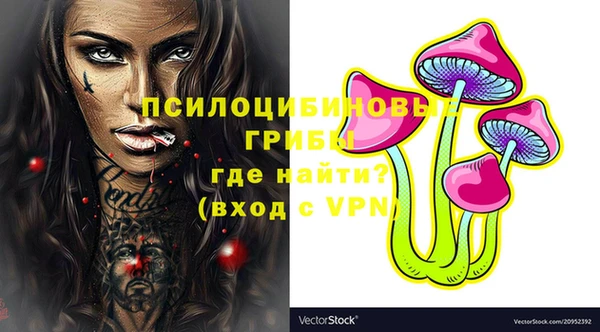 дживик Баксан