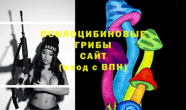 дживик Баксан